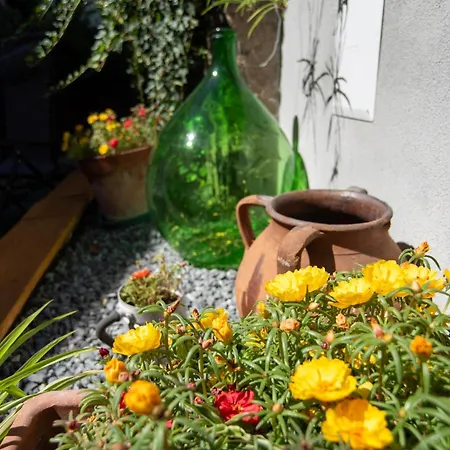 Ferienhaus Casa Scano *
